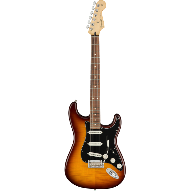 Fender Player Stratocaster PLUS TOP