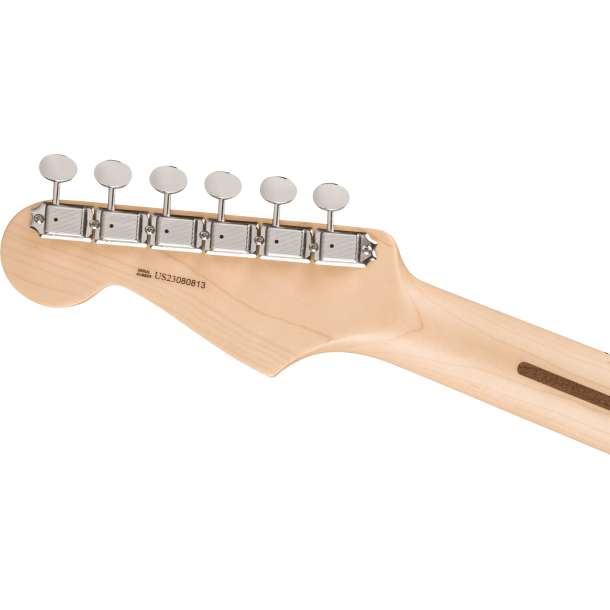 Fender Eric Clapton Stratocaster Pewter