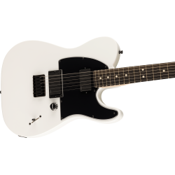 Fender  Jim Root Telecaster