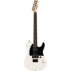 Fender  Jim Root Telecaster