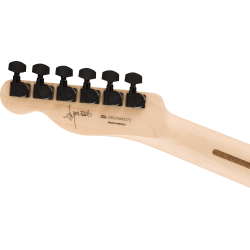 Fender  Jim Root Telecaster