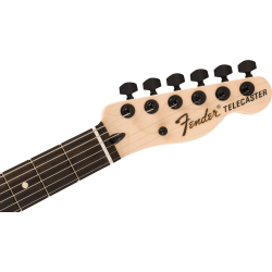 Fender  Jim Root Telecaster