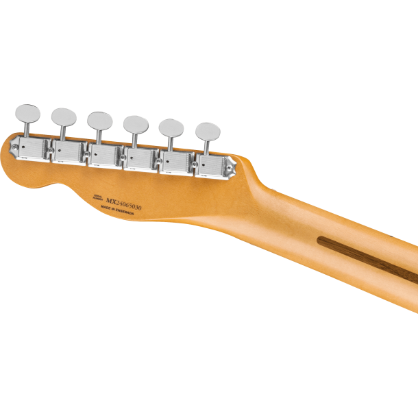 Fender Brad Paisley Road Worn Telecaster