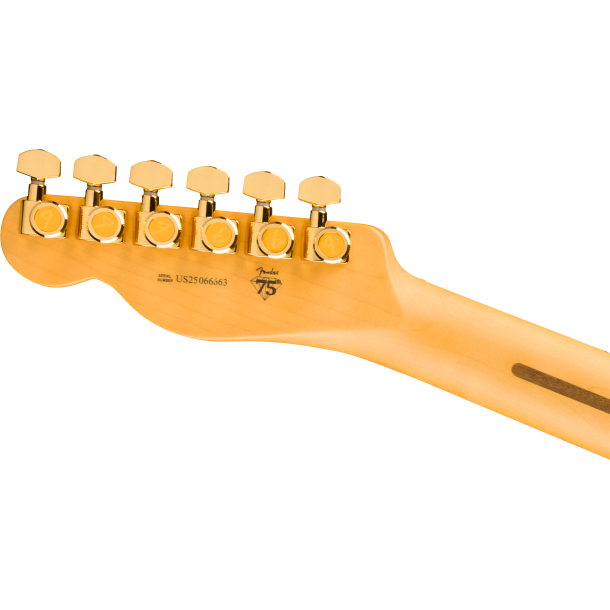 Fender 75th Anniversary American Professional Custom Telecaster