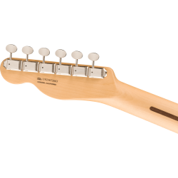 Fender Limited Edition American Performer Timber Telecaster