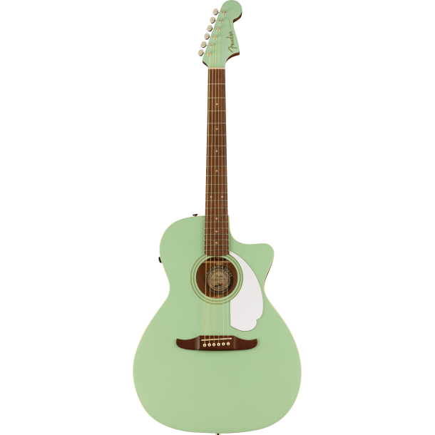 Fender Newporter Player