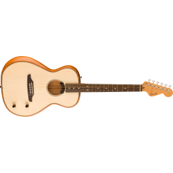 Fender  Highway Series Parlor