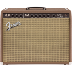 Fender 62 Super Amp brown panel