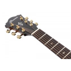Ibanez AE340FMH western