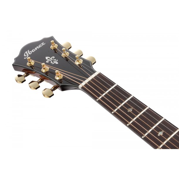 Ibanez AE340FMH western