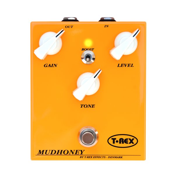 T Rex Mudhoney Disortion