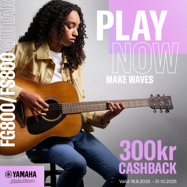 Yamaha FS800
