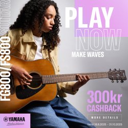 Yamaha FG800M, Satin Finish