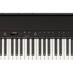 Roland FP40
