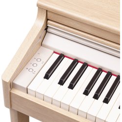 Roland RP 701 Light Oak