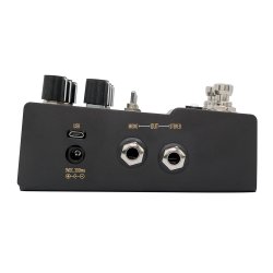 Walrus Audio MAKO R1 Reverb