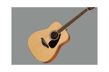 Westernguitar