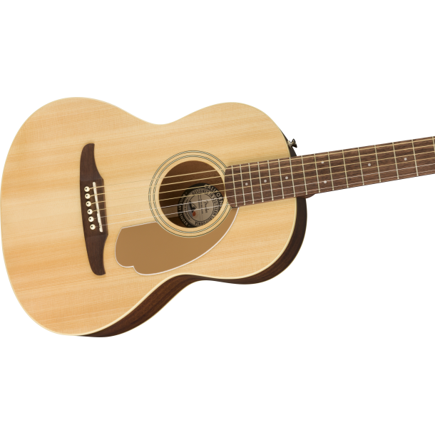 Fender Sonoran Mini with bag