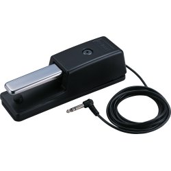 Roland DP-10 Sustain Pedal